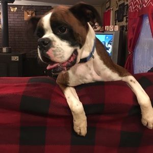 Meet your Posher, Debra